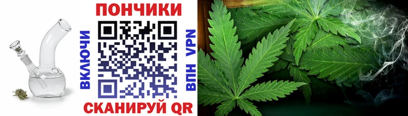 Канабис сатива  mega маркетплейс  Тогучин  наркошоп 